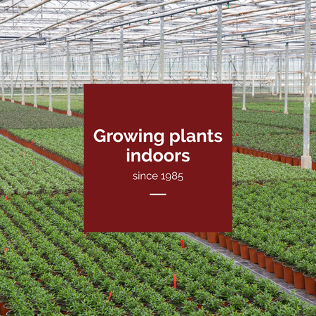 Farming plants in Greenhouse Instagram Design Template