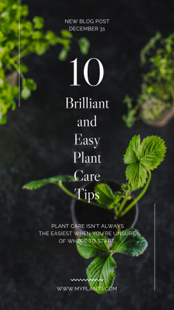 Ontwerpsjabloon van Instagram Story van Tips voor plantenverzorging