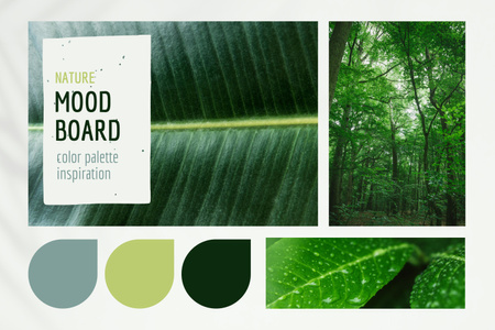Nature Inspiration with Green Forest Mood Board – шаблон для дизайна