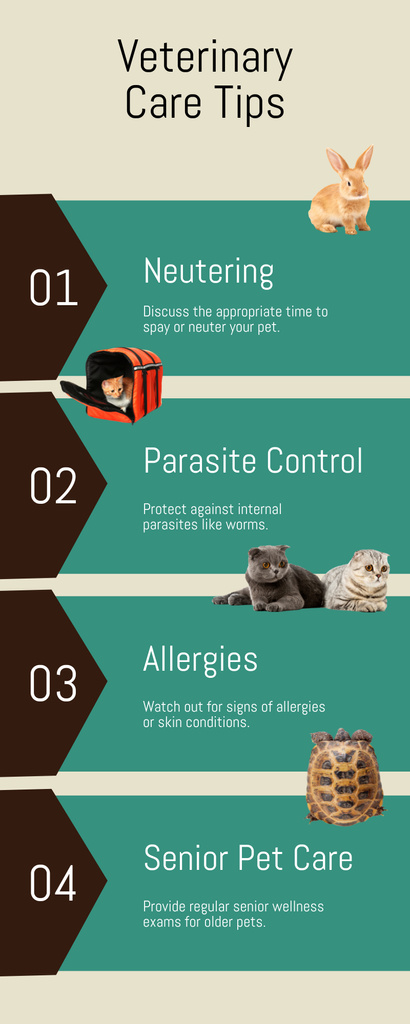 Veterinary Care Tips Infographicデザインテンプレート