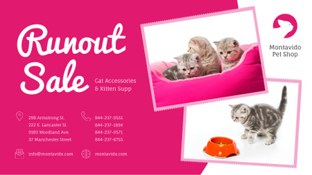 Pet Shop Sale Funny Kittens in Pink FB event cover Design Template