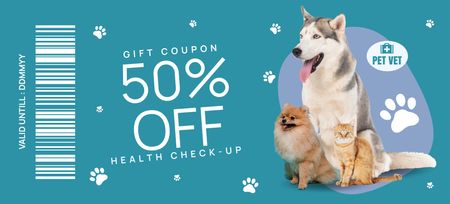 Pets Health Check-Up Voucher Coupon 3.75x8.25in Design Template
