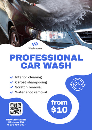 Professional Car Wash Services Poster Design Template
