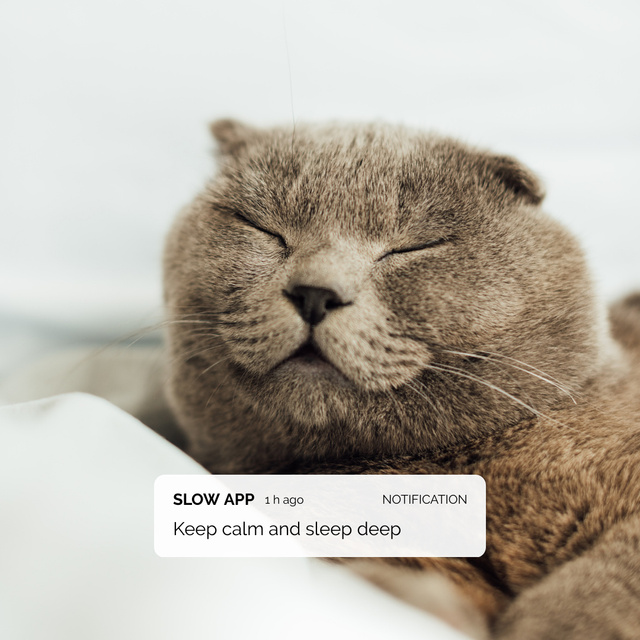 Plantilla de diseño de Cute Cat sleeping under Ocean Waves Blanket Instagram 