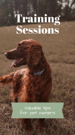 Valuable Training Sessions For Pets Instagram Video Story Design Template