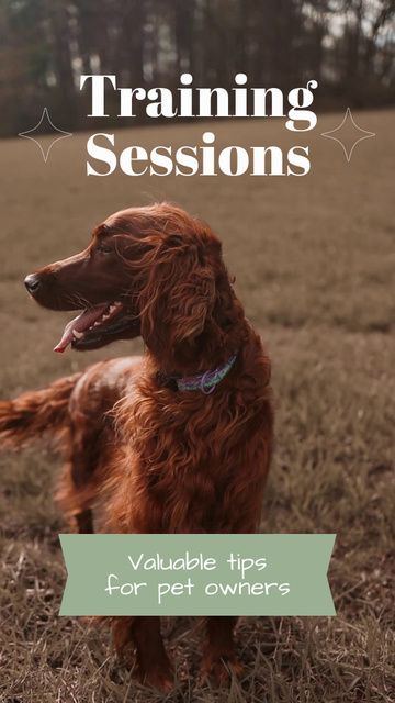 Template di design Valuable Training Sessions For Pets Instagram Video Story