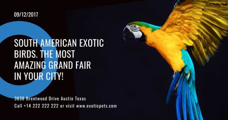 Jihoamerický obchod s exotickými ptáky Facebook AD Šablona návrhu