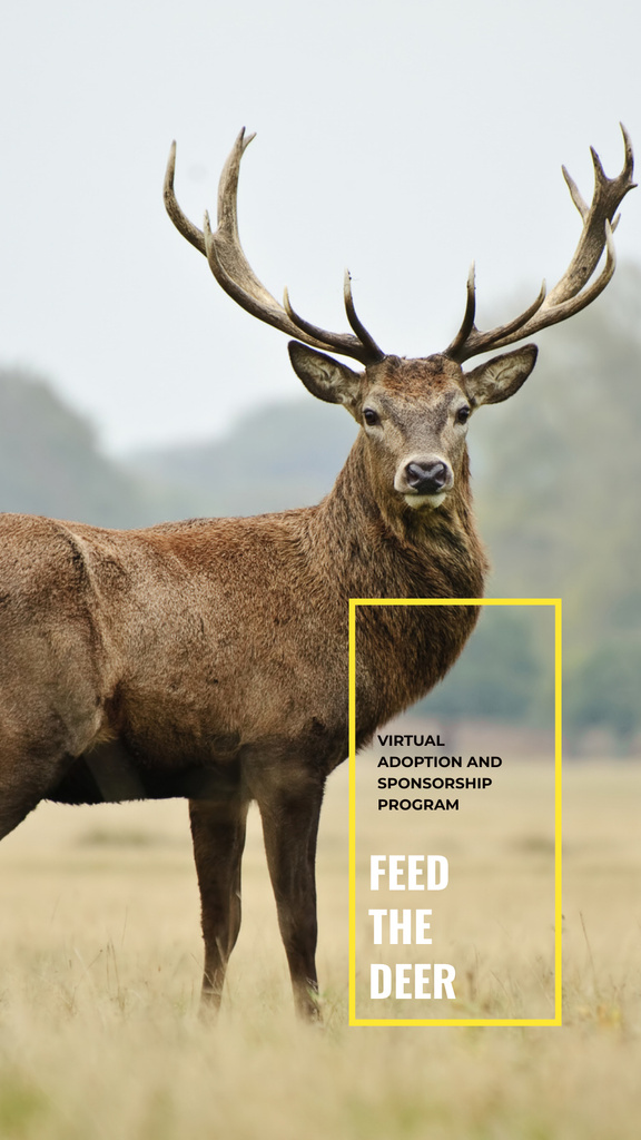 Protect Natural Habitat of Animals Instagram Story Modelo de Design