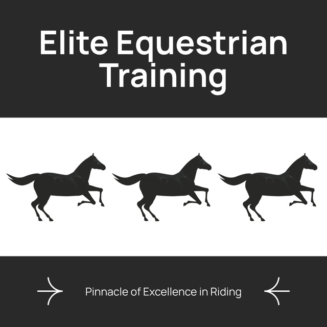 Top-notch Horse Riding Training Offer Animated Post Šablona návrhu