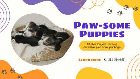 Platilla de diseño Puppies From Breeder With Pet Care Package Offer Full HD video