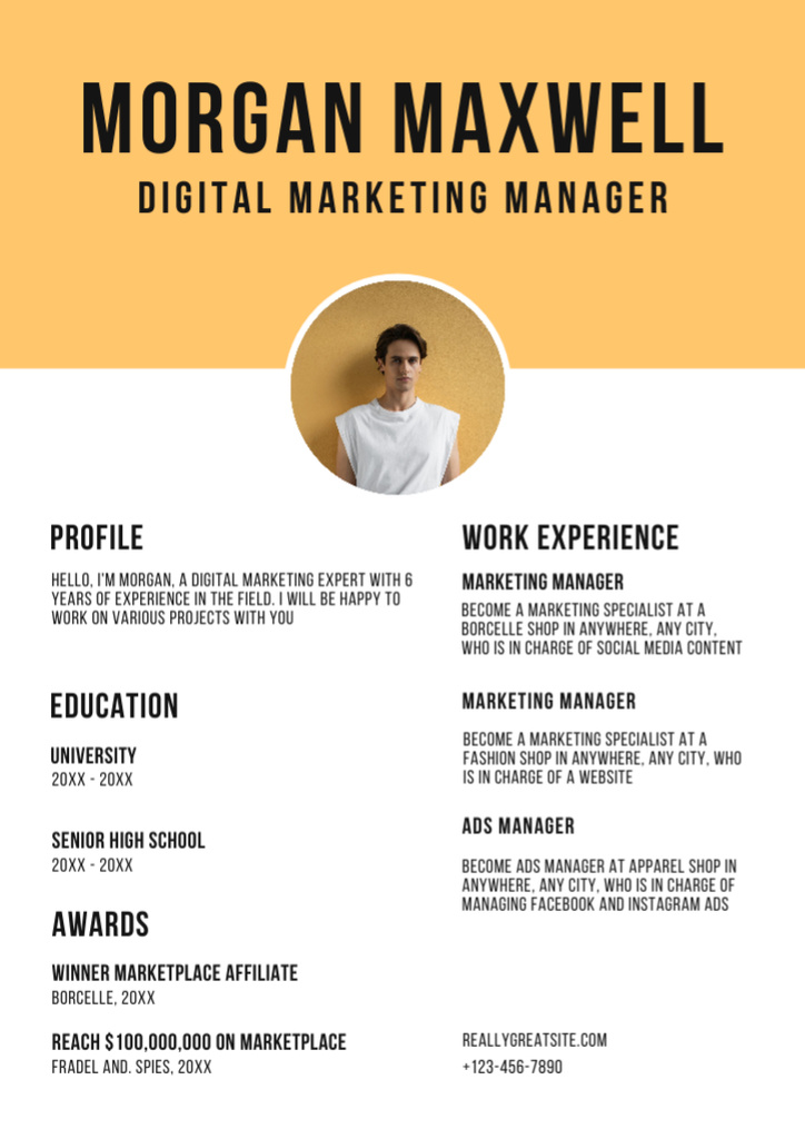 Skills and Experience of Digital Marketing Manager Resume – шаблон для дизайну
