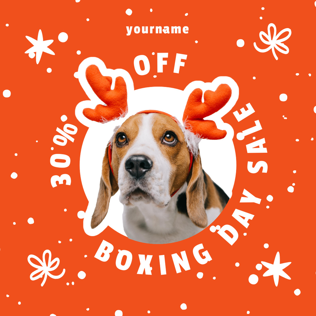 Pet Shop Discounts on Boxing Day Instagramデザインテンプレート