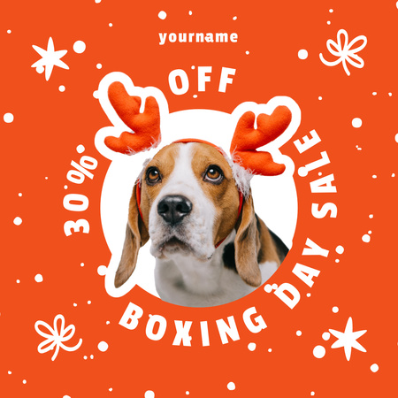 Pet Shop Discounts on Boxing Day Instagram Design Template