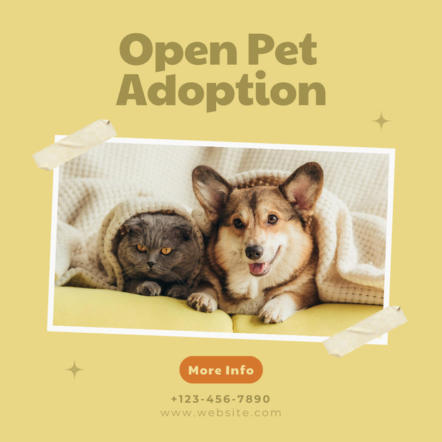 Open Pet Adoption Ad with Dog and Cat Instagram Design Template