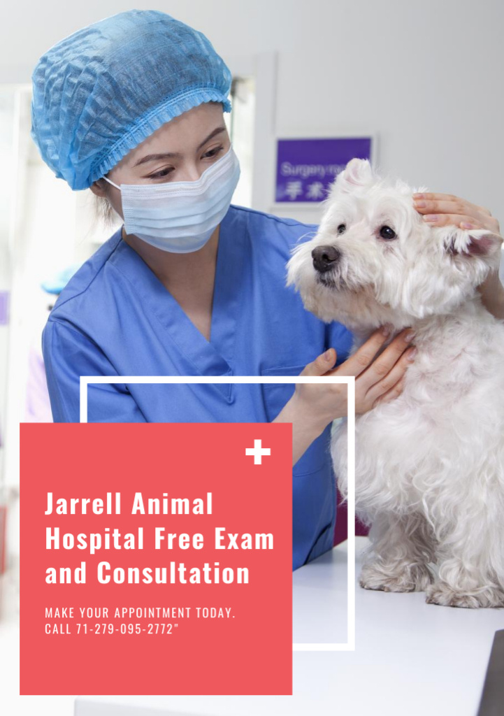 Vet Clinic Ad with Veterinarian Examining Dog Flyer A5 Tasarım Şablonu