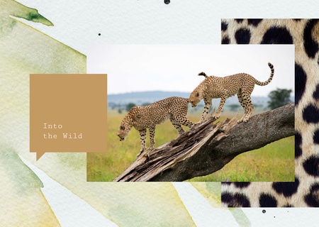 Wild cheetah in natural habitat Postcard Design Template