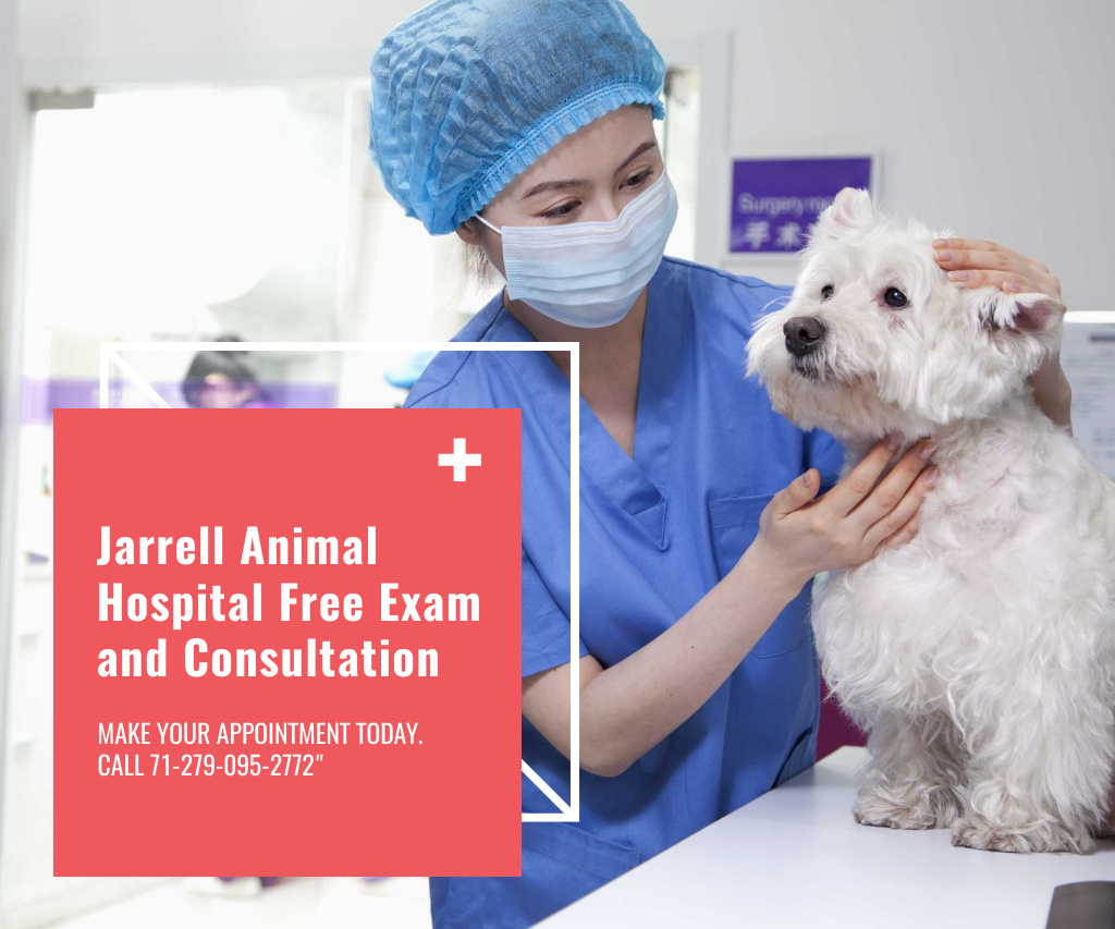 Offer of Free Consultation and Exam at Veterinary Hospital Large Rectangle Design Template
