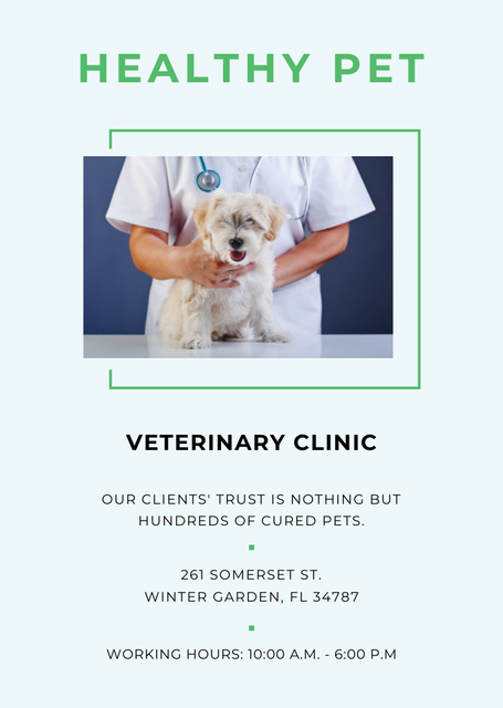 Template di design Vet Clinic Promotion with Doctor Holding Dog Postcard A6 Vertical
