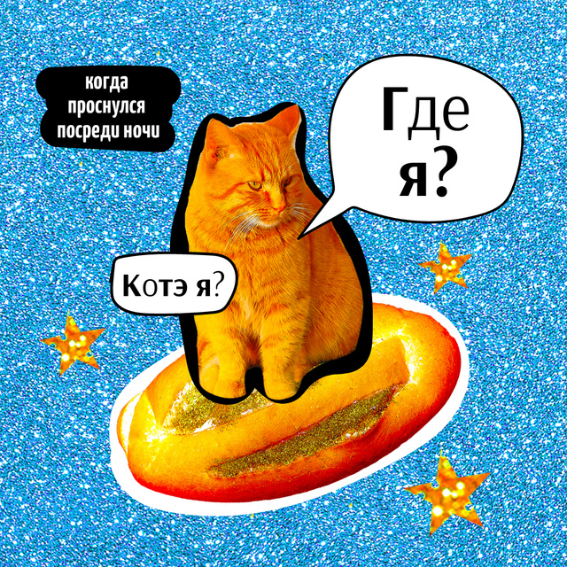 Funny Cat flying on Bread Instagram Design Template
