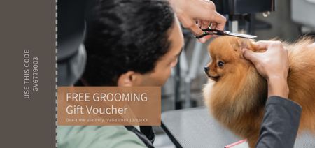 Free Grooming Gift Voucher Coupon Din Large Design Template