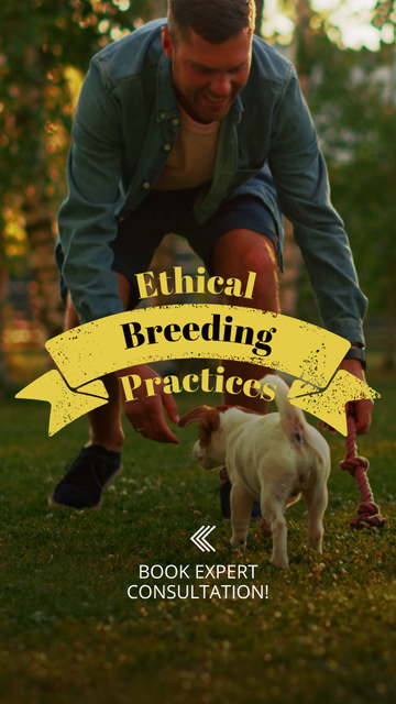 Ethical Breeding Practices Guide And Consultation From Expert TikTok Video – шаблон для дизайну