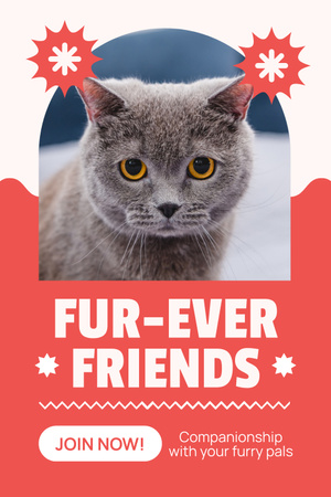 Furry Friends For Adoption With Cute Cat Pinterest Design Template