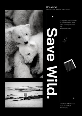 Climate Change Problem Awareness with Polar Bears Poster A3 Tasarım Şablonu