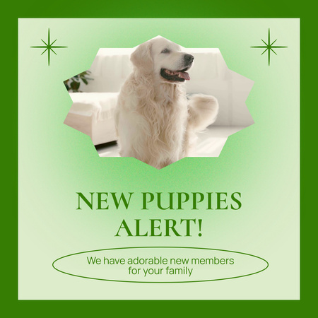 Offer to Adopt New Family Member in Person of Puppy Animated Post Design Template