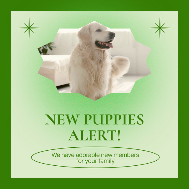 Szablon projektu Offer to Adopt New Family Member in Person of Puppy Animated Post
