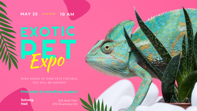 Exotic Pets Expo with Chameleon Lizard FB event cover – шаблон для дизайна