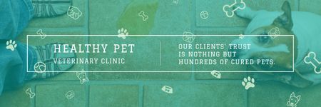 Vet Clinic with Adorable Puppy in Green Twitter Design Template