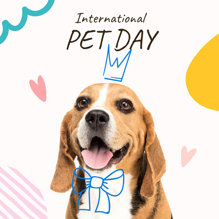 International Pet Day with Cute Funny Dog Instagram Design Template