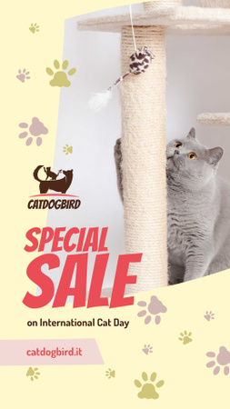 Cat Day Sale Cute Grey Shorthair Cat Playing Instagram Story Design Template