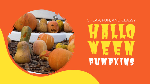 Budget-friendly Halloween Pumpkins Offer In Orange Full HD video Πρότυπο σχεδίασης