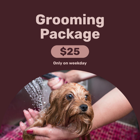 Pet Grooming Package  Instagram Design Template