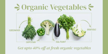 Organik Sebze Çeşitleri Twitter Tasarım Şablonu
