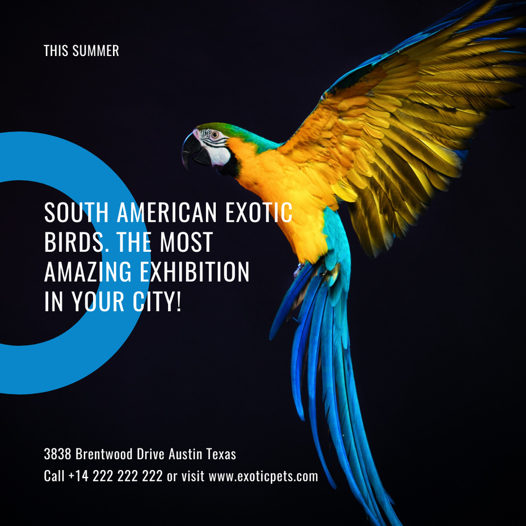 Exotic birds Exhibition Announcement with Bright Parrot Instagram Modelo de Design