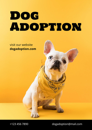 Pets Adoption Club Ad Poster Design Template