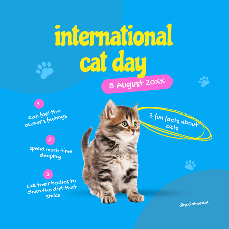 Cute Kitty for International Cat Day Anouncement  Instagram Design Template