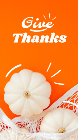 Thanksgiving Holiday Greeting with White Pumpkins Instagram Story Design Template