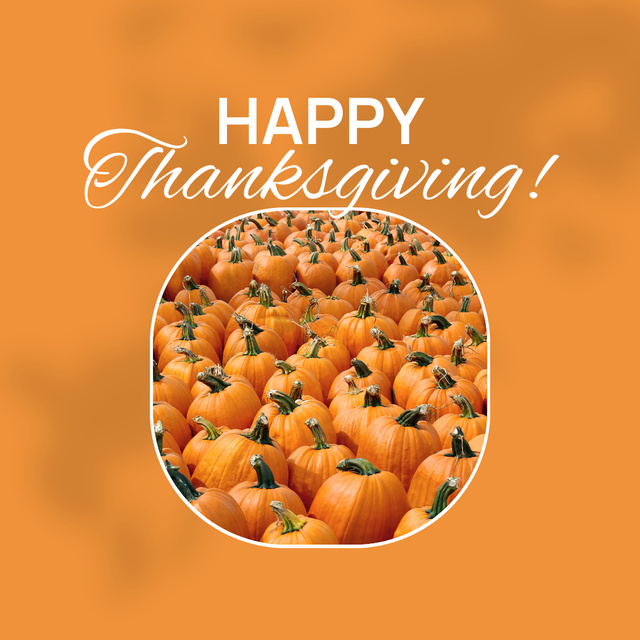 Ontwerpsjabloon van Animated Post van Wonderful Thanksgiving Congrats With Lots Of Pumpkins