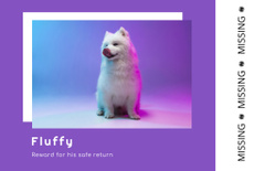 Lost Dog Information with Fluffy Puppy on Purple