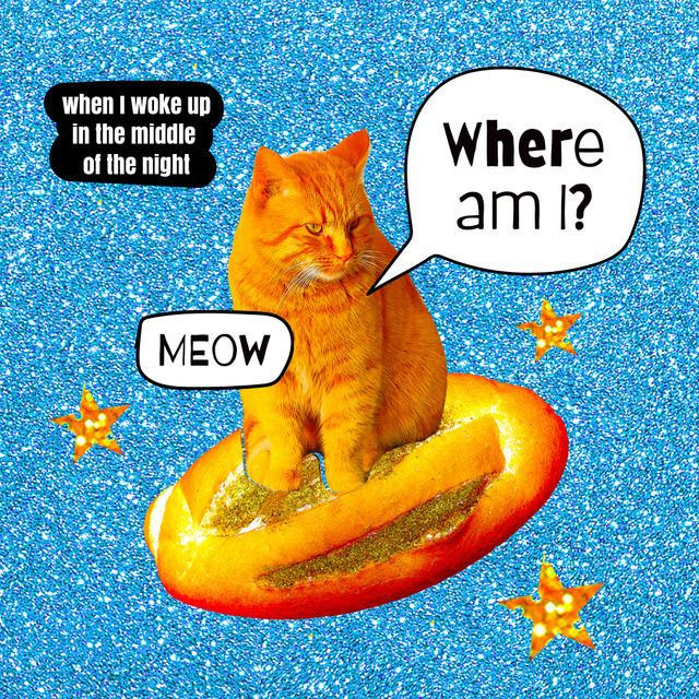 Funny Cat flying on Bread Instagram Design Template