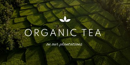 Plantilla de diseño de hermoso paisaje de plantaciones de té Twitter 