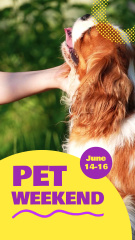 Exciting Pet Weekend Announcement With Festivities