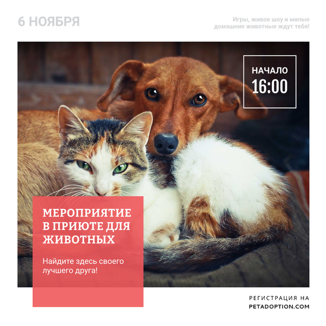 Pet Adoption Event Dog and Cat Hugging Instagram AD Modelo de Design