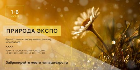 Nature Expo announcement Blooming Daisy Flower Image – шаблон для дизайна