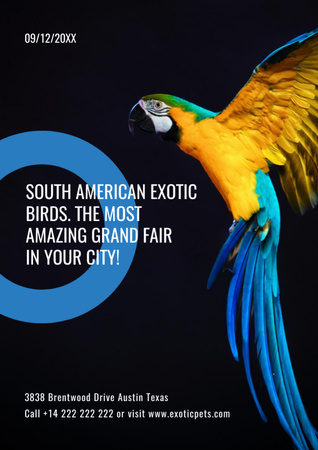 Exotic Birds Fair with Blue Macaw Parrot Flyer A4 Design Template