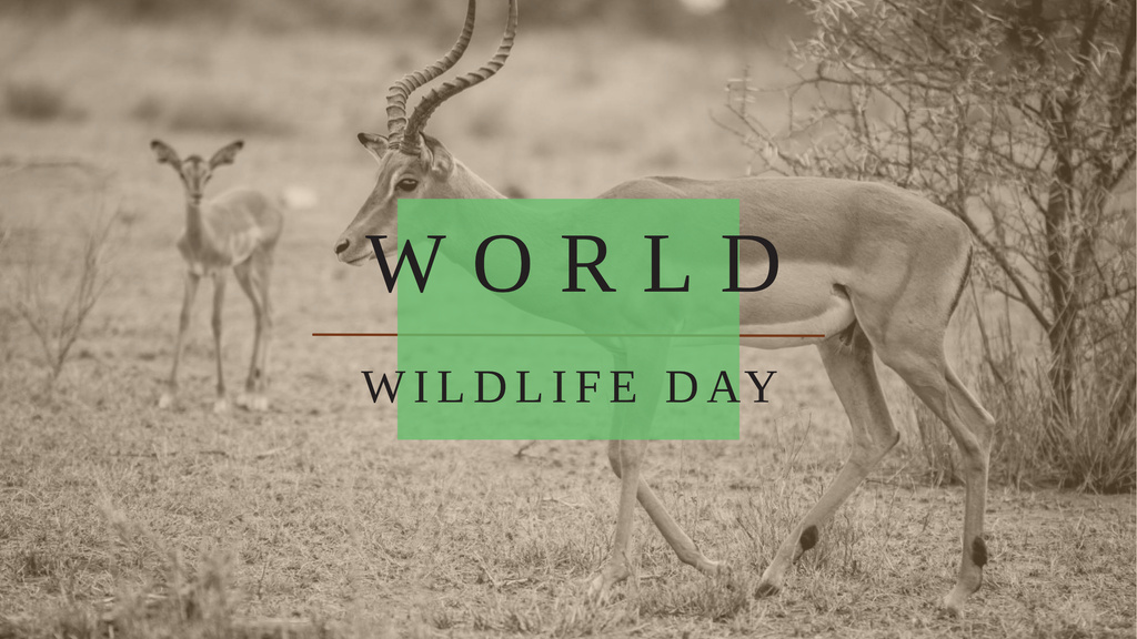 Platilla de diseño World Wildlife Day with Antelope in Natural Habitat Youtube