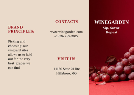Designvorlage Ankündigung einer Weinprobe mit reifen Trauben für Brochure